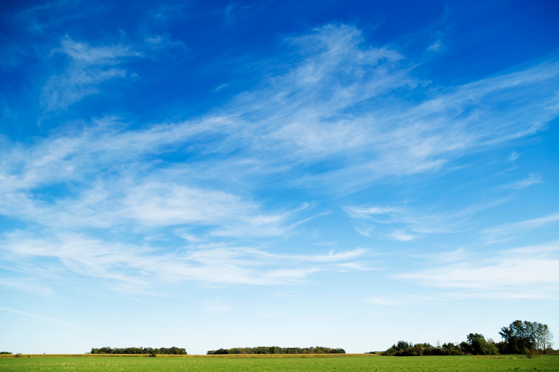 Blue sky